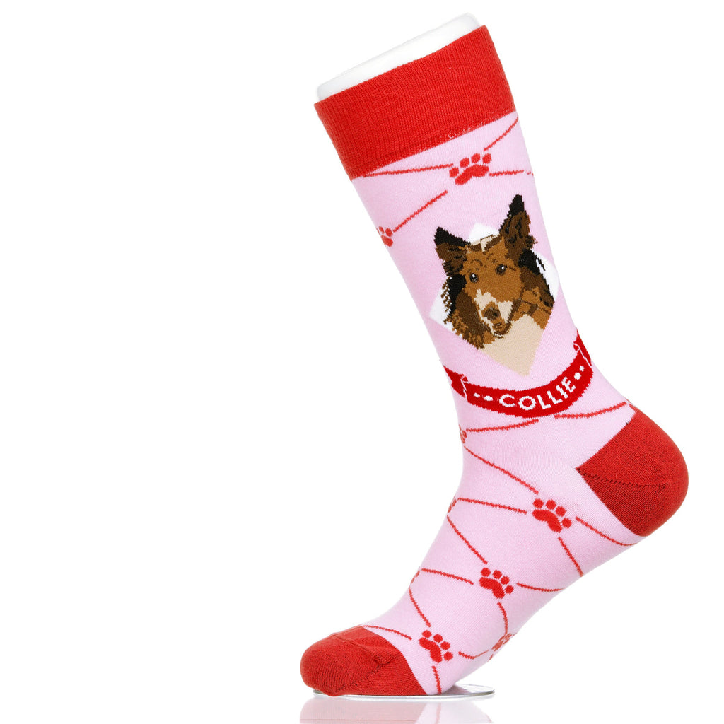 Collie